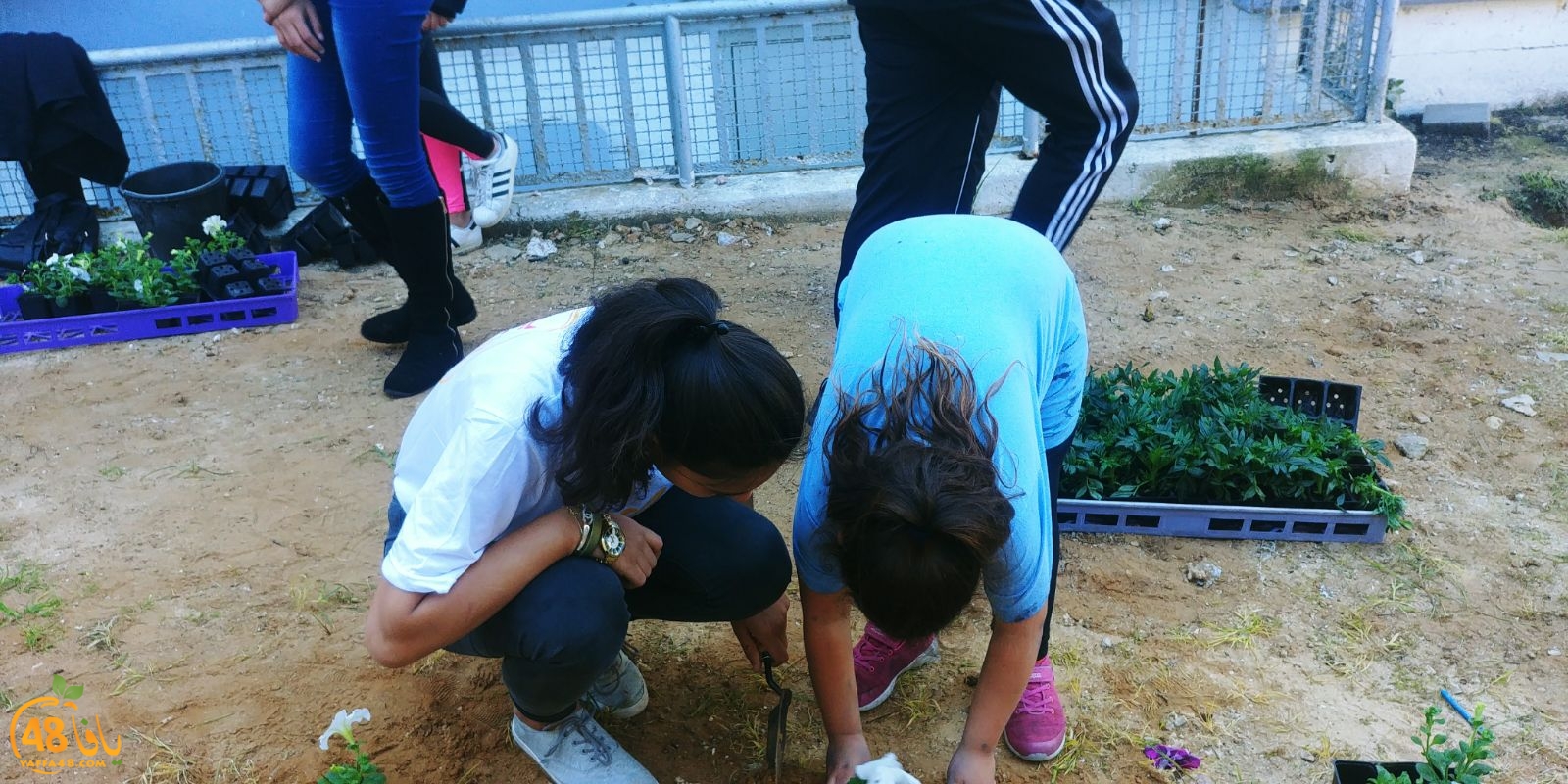 yaffafuture3jhq (31).jpg